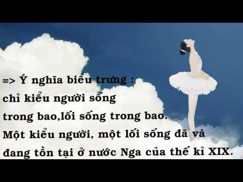 Video Hình tượng cái bao trong 