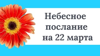 Небесное послание на 22 марта. Нынешнее положение.