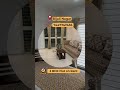 🏡 2 BHK Flat on Rent in Bijali Nagar