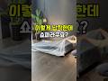 이렇게 납작한데 쇼파라구요?#shorts