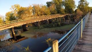 Muskegon Lakeshore Trail 4-mile run