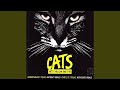 Macavity The Mystery Cat Accompaniment Without Guide Vocals 