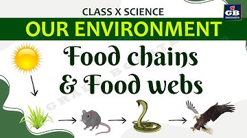 Our Environment Part-2 | CBSE Class 10 Science (Biology) Explanation | Food chains & Food Web |NCERT