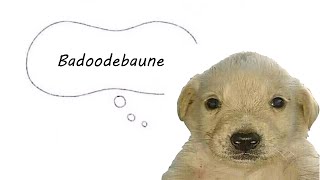 Badoodebaune