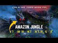       amazon rainforest forest mystery of amazon jungle  hindi