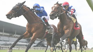 Talking Horses pres by Saratoga Water - October 27 2024