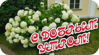 С Добрым Утром! 🌸Пускай Душа От Радости Поет! 🌸Красивая Музыкальная Открытка🌸