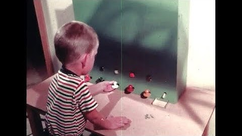 Behavior Theory in Practice - Part I. - 1965