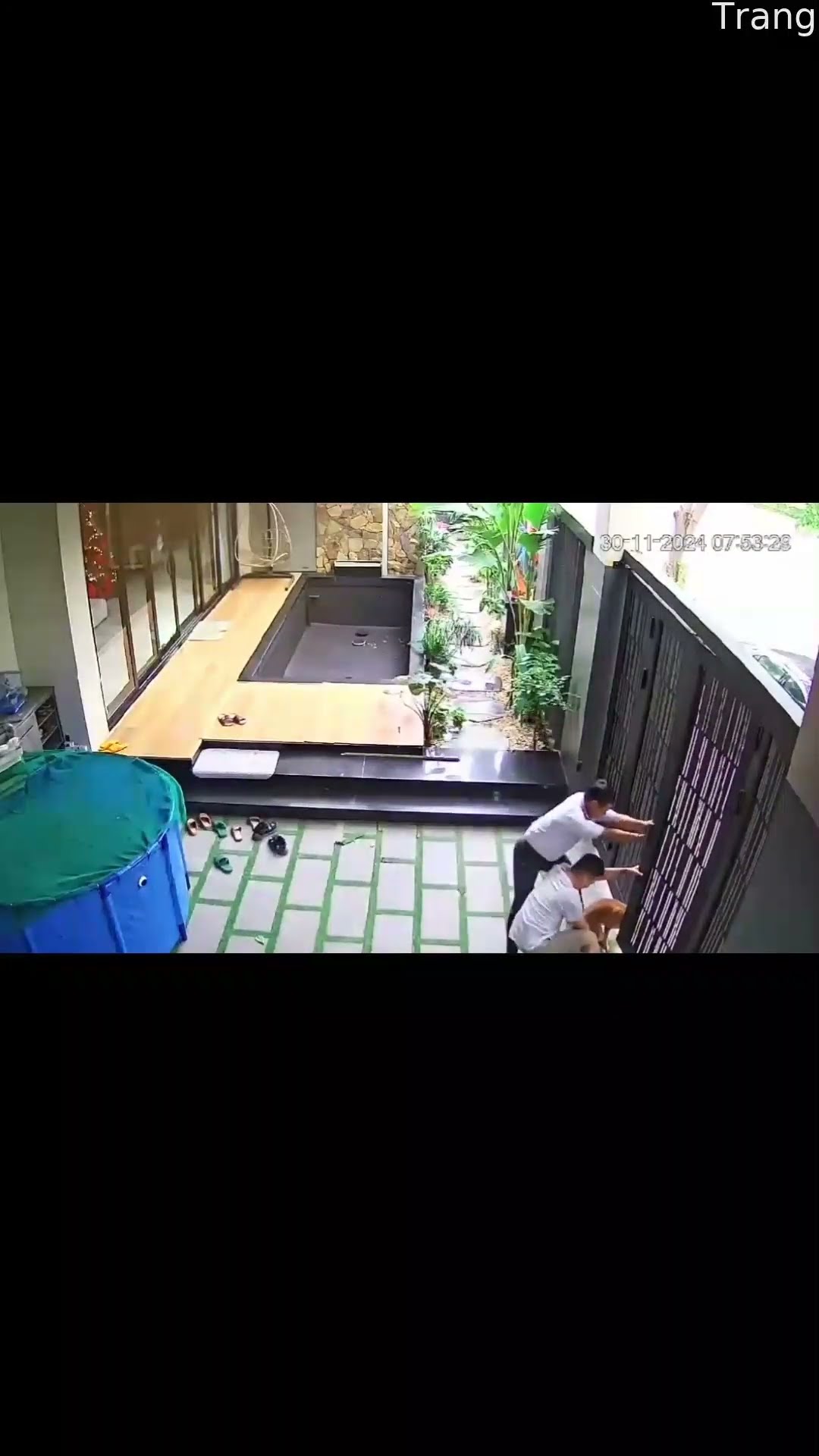 Dog's Head Gets Stuck In Automatic Door || ViralHog