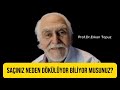 Saçınız neden dökülüyor biliyor musunuz?