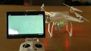 California lifeguards use drones to monitor sharks