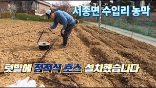 점적식 호스를 텃밭에 설치하였습니다  / 농막 / 컨테이너 하우스 / 모듈러 주택/이동식 주택/ 주말 농장 by PARKnPARK 팍앤팍 445 views 3 weeks ago 5 minutes, 13 seconds