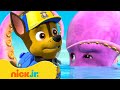 PAW Patrol&#39;s Ocean Animals Rescue &amp; Adventures! w/ Chase 🐙 10 Minutes | Nick Jr.