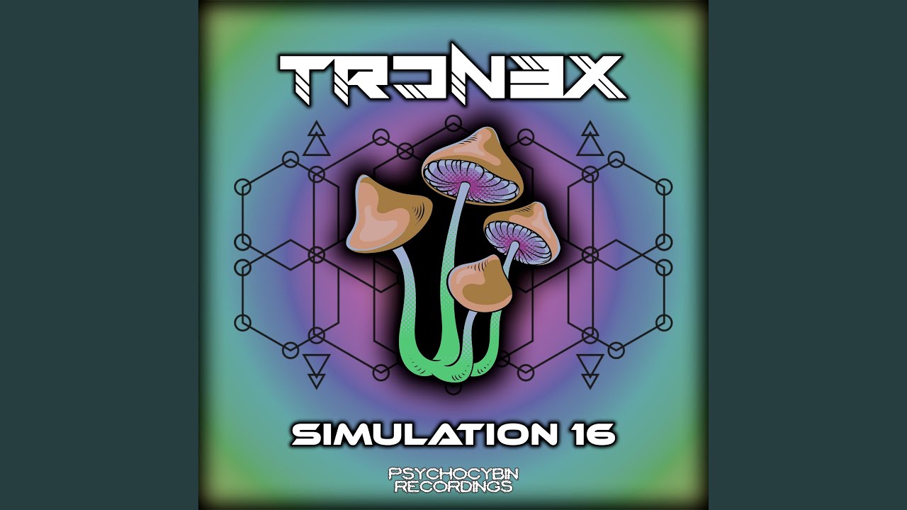 Watch Simulation 16 on YouTube Watch Simulation 16 on YouTube