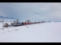 Des trains dans la neige d'Alsace