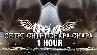 [1 Hour] Chipi Chipi Chapa Chapa Dubi Dubi Daba Daba (Phonk Remix)