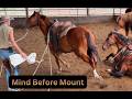 Preparing Colts for Their First Ride | The Magnificent Seven Part 2