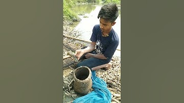 Fishing #youtubeshorts #shortvideo #shortsvideo #ytshorts #shortsfeed #shorts