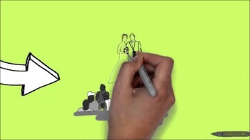 How To Create Whiteboard Animation Videos[NO SKILL REQUIRED]