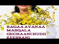 Bagaa Ayanaa Masqalaa Gechanii Hudii Keessanii 