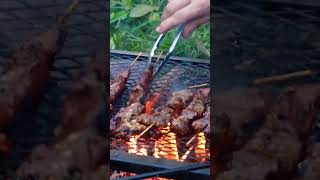 Bush cooking 🏕️ #shorts #camping #cooking #fire #short