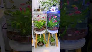 Turning a Mineral Water Bucket Into a Fish Tank! | DIY Mini Aquarium Transformation #shorts