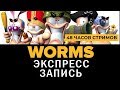 Ле-Ман! |ЭКСПРЕСС-ЗАПИСЬ WORMS|