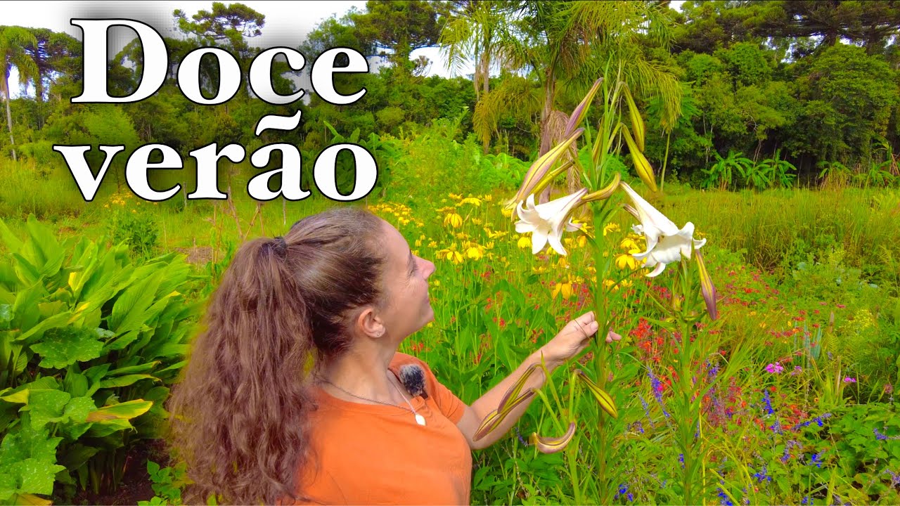 Vernonia, Lilium e Melão de Neve