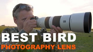How to capture great bird photos. Featuring Sony FE 200-600mm Lens