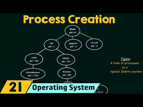 Video: Ce este procesul operațional?