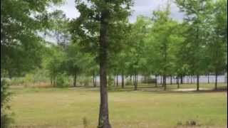 5573 Fairview Road Batesburg SC 29006