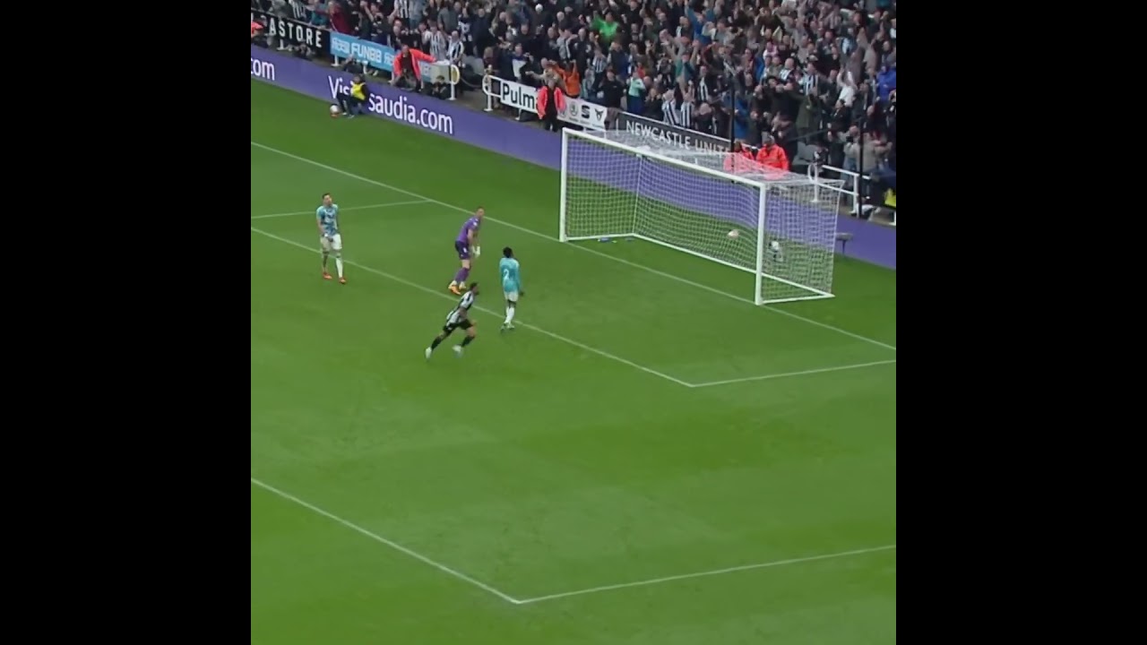 HIGHLIGHTS Newcastle 3 : 1 Southampton  Premier League 