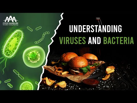 Understanding Viruses and Bacteria What You Need to Know
