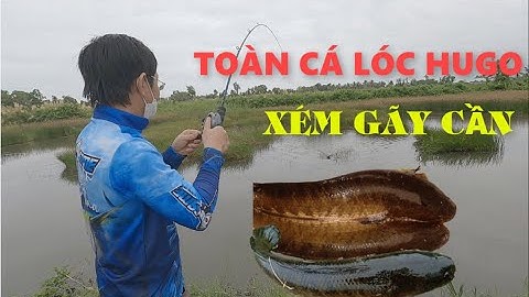 Câu Lure Cá Lóc Đồng | Ngày Của Hugo