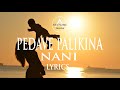 Pedave Palikina - Nani, Chandra Bose,Mahesh Babu, (Lyrics), ||Awesome Tracks||