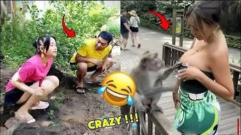 Try Not To Laugh Challenge 😂 ▶️ LEVEL 31 | Instant Regret Fails Compilation 2025