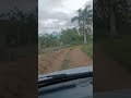 carobé zona rural de Itaquitinga PE