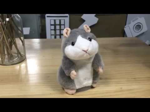 funny-talking-hamster-perfect-toy-for-kids.