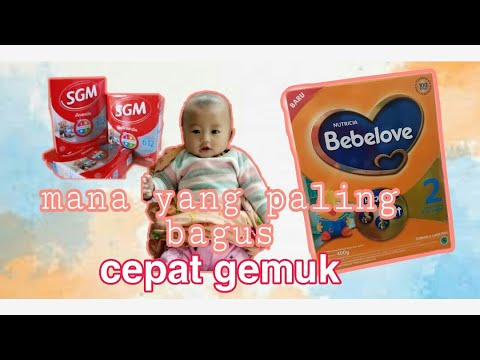 Perbandingan susu pormula sgm dan bebelove