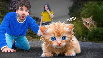 I RESCUED an Abandoned Kitten from a COYOTE ATTACK!