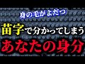 【9割の人が知らない】あなたの身分が分かる苗字の歴史【ゆっくり解説】