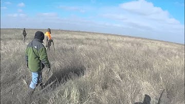 Briley Light Modified Choke takes down pheasant