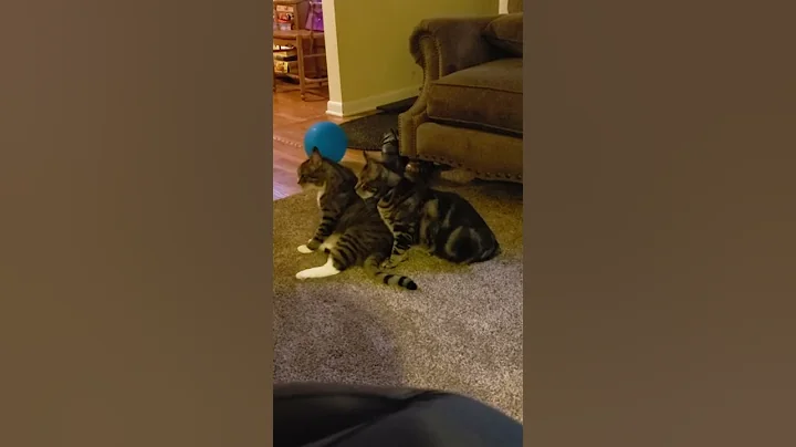 Bill & Tuck August 2019