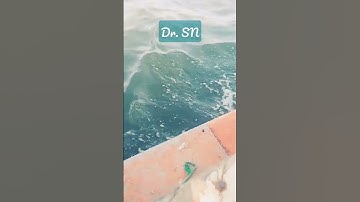 Thumbnail of Song 💙⛵⚓ #fyp #ship #boat #sea #water #waves #peace #relaxing #nature #song #ocean #october #music