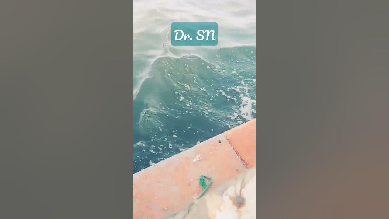 Song πβ΅β #fyp #ship #boat #sea #water #waves #peace #relaxing #nature #song #ocean #october #music Song πβ΅β #fyp #ship #boat #sea #water #waves #peace #relaxing #nature #song #ocean #october #music