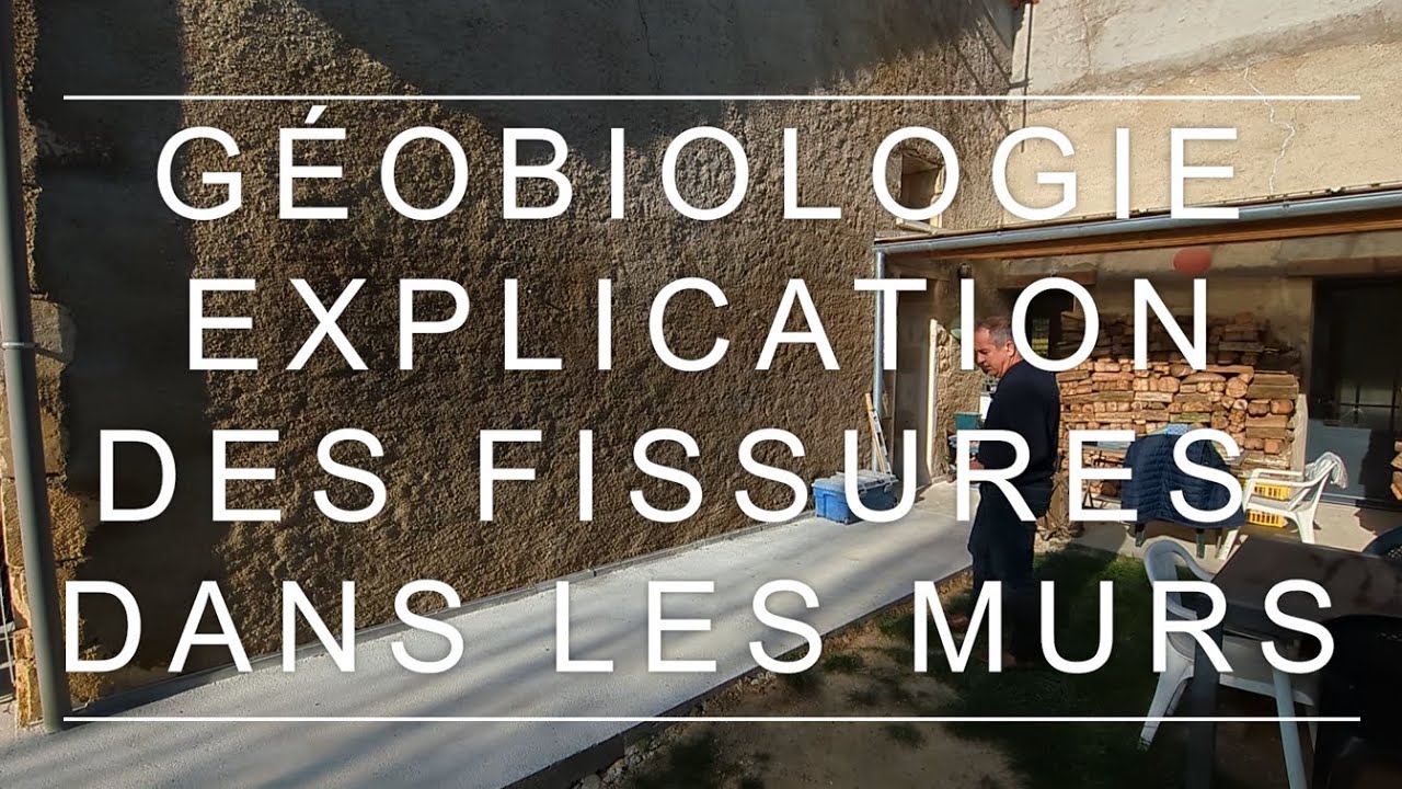 Lézardes et Fissures dans les Murs leur origine expliquée par un — free download