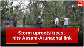 Assam–Arunachal connectivity hit after storm uproots trees in Tinsukia border areas