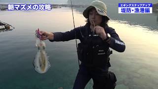 YAMASHITA y la pesca a EGING desde puerto y embarcación: "Cómo pescar un calamar" (explicado)