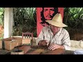 Cuban master shows how to roll cigar montecristo no 4 in the tobacco field of viales cuba