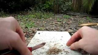Firesteel - Natural Tinder Oak Scrapings Spark to Flame
